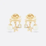 Dior evolution Earrings